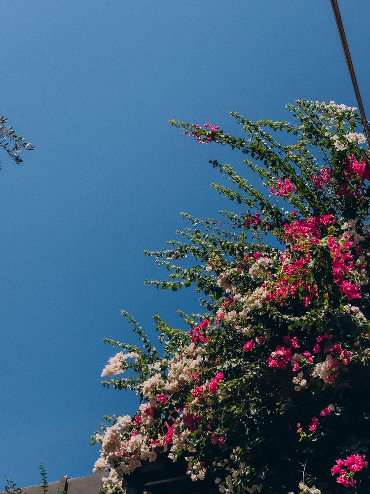 Фотография автора Марина