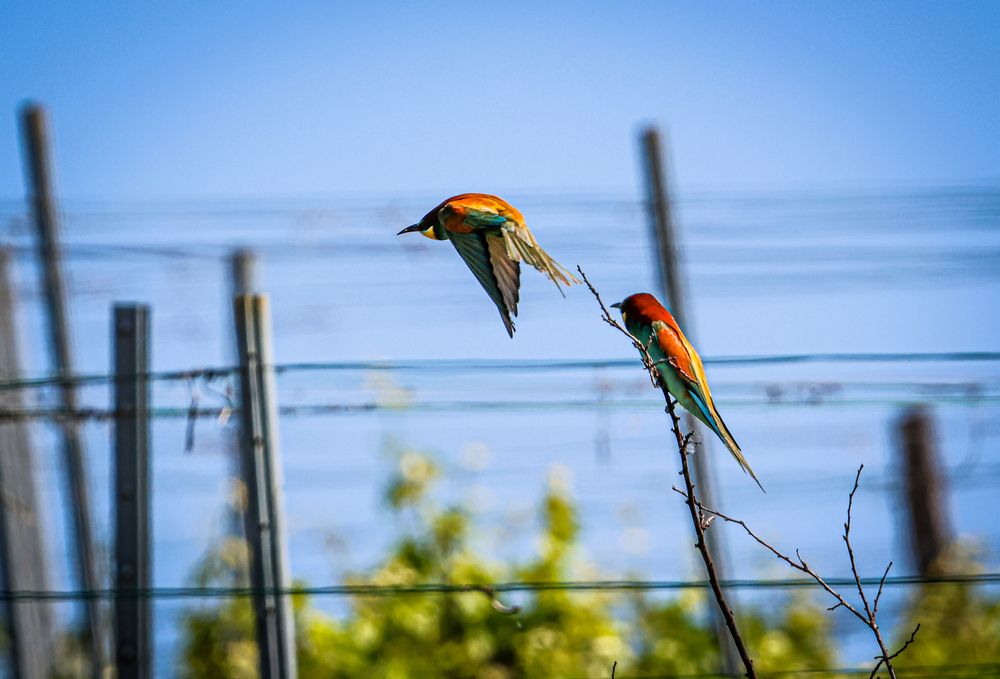 Photograph by Eva Wiedemann