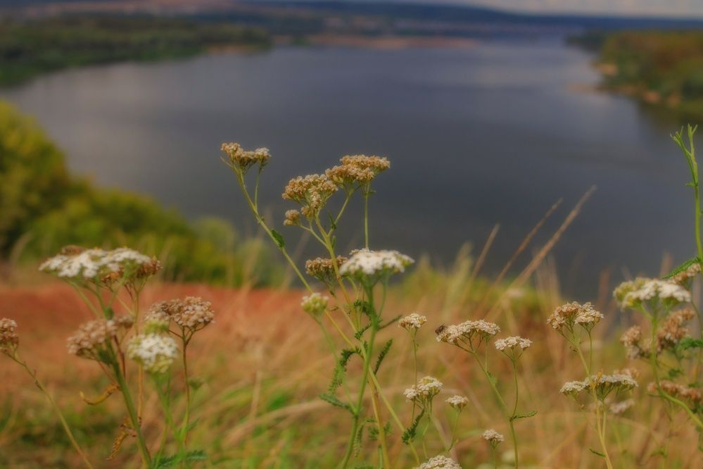 Photograph by Алёна Кибичеева