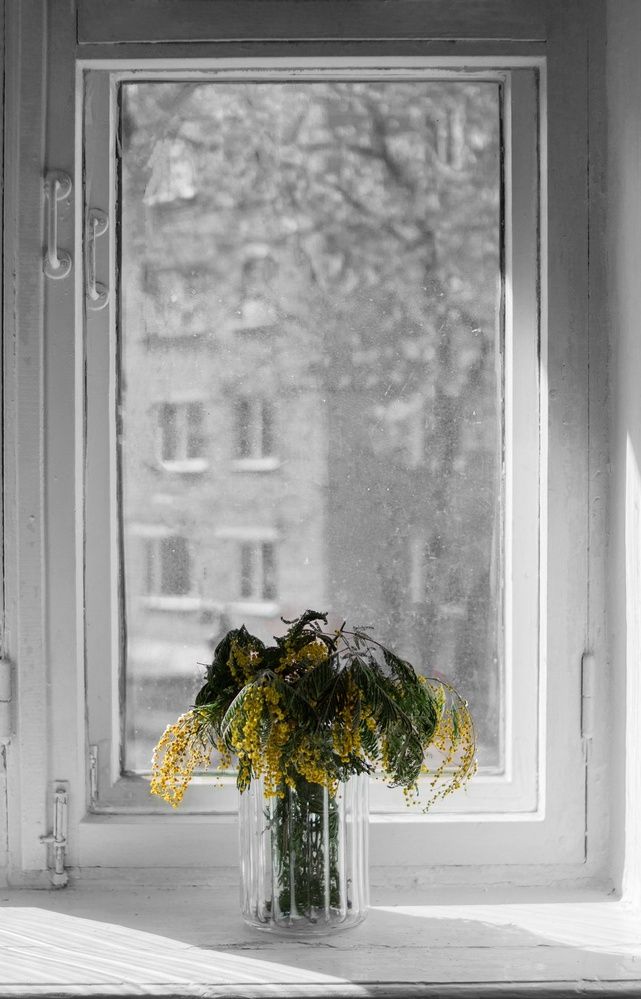 Photograph by Алёна Кибичеева