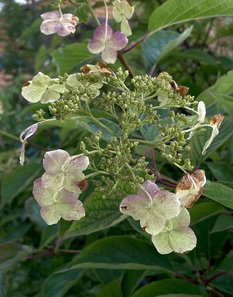 Photograph by Лада Сартакова