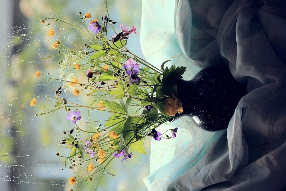 Иногда для счастья достаточно просто лета...