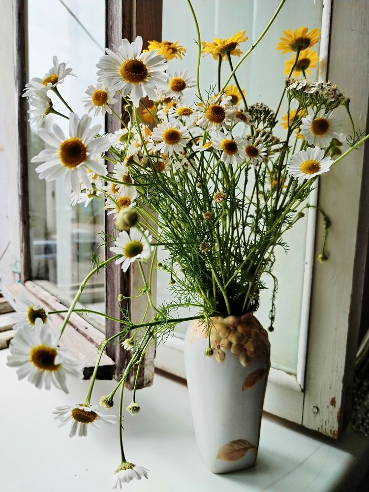 Photo #12477448