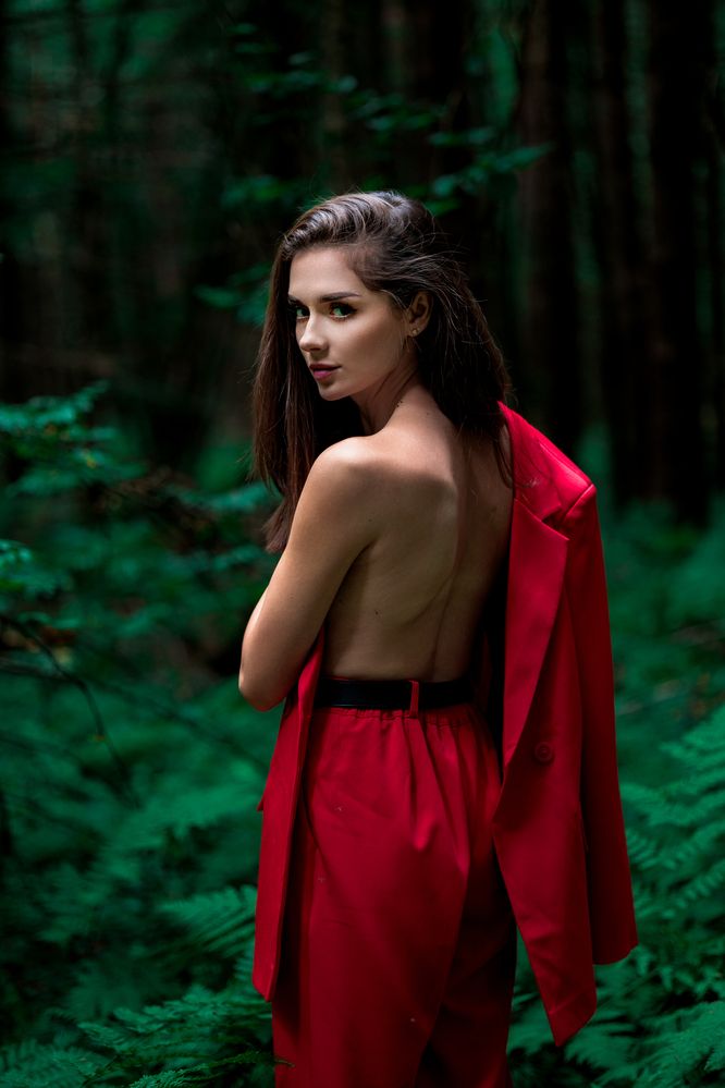 Фотография автора Алексей Сафаров