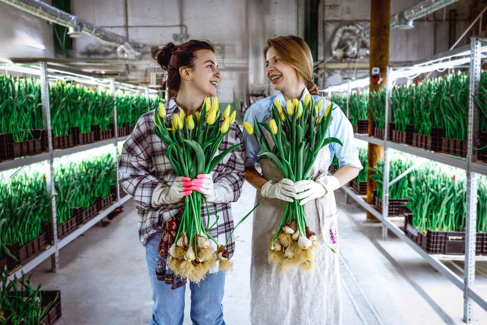 Девушки в теплице