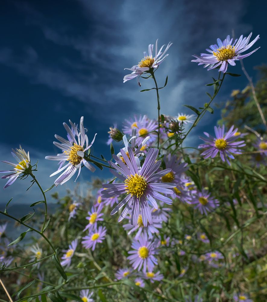 Photograph by Матвей Матвеев