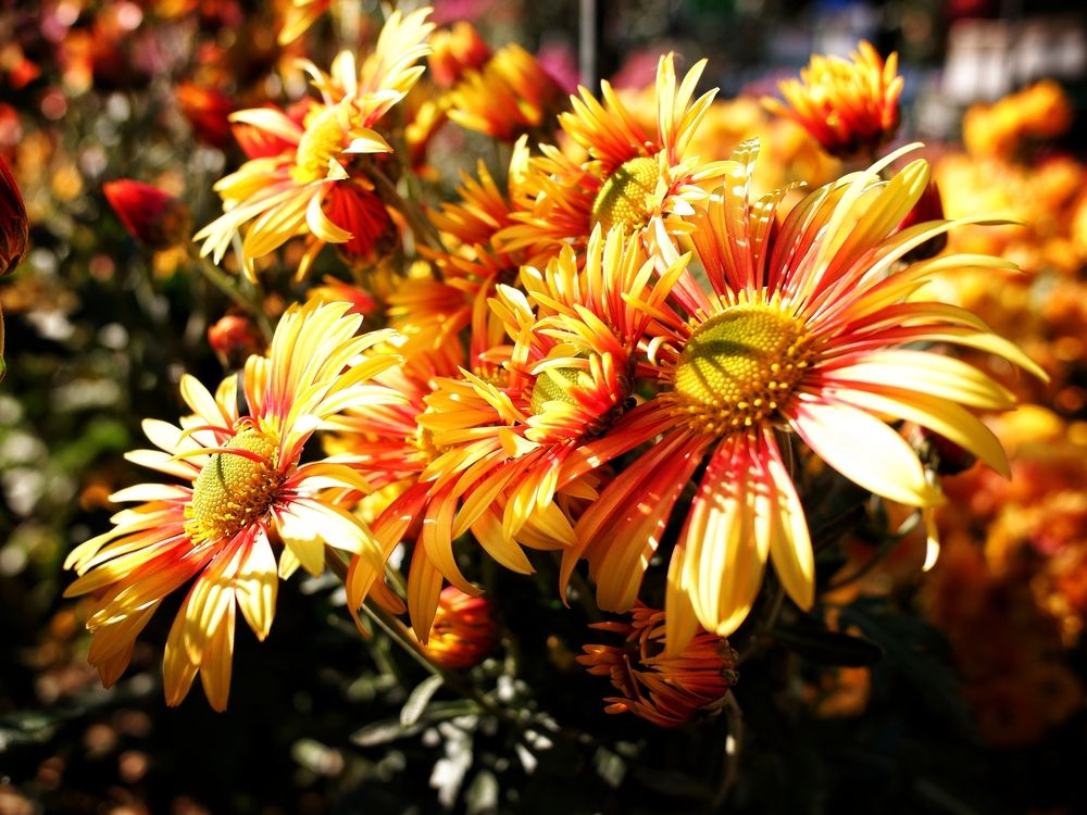 Photograph by Зорин Миша