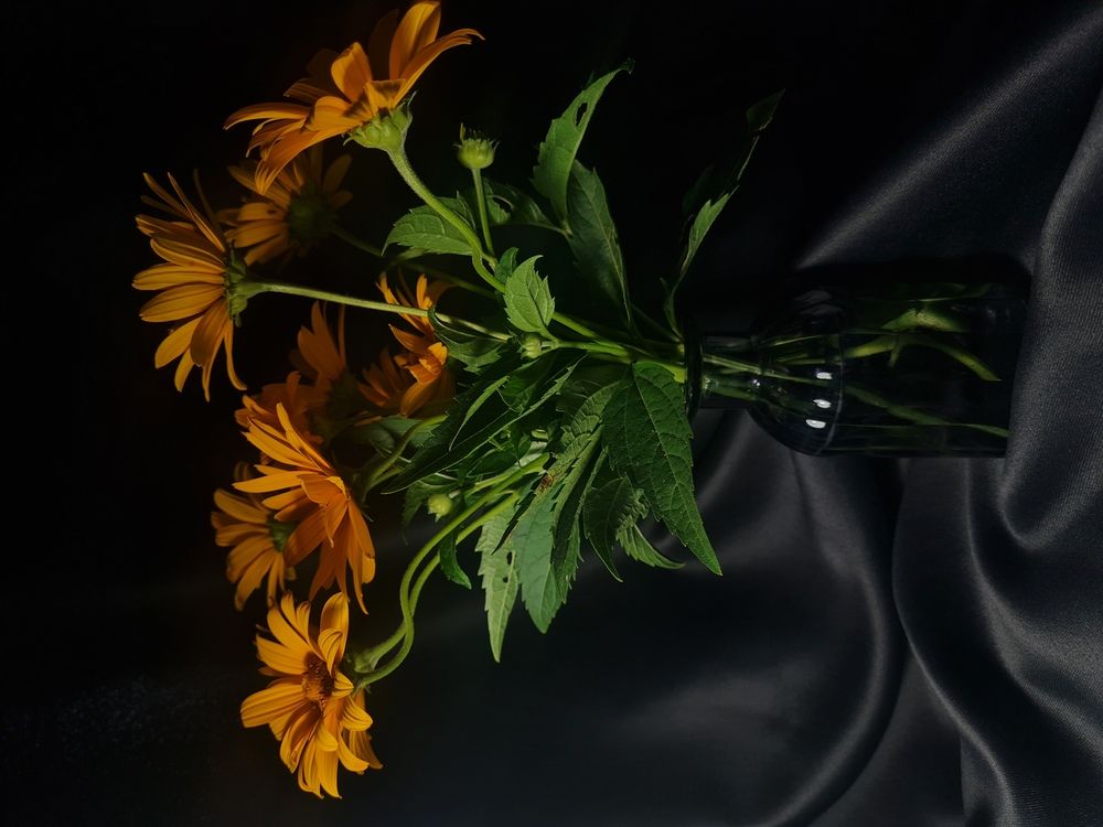 Photograph by Анастасия Мусихина