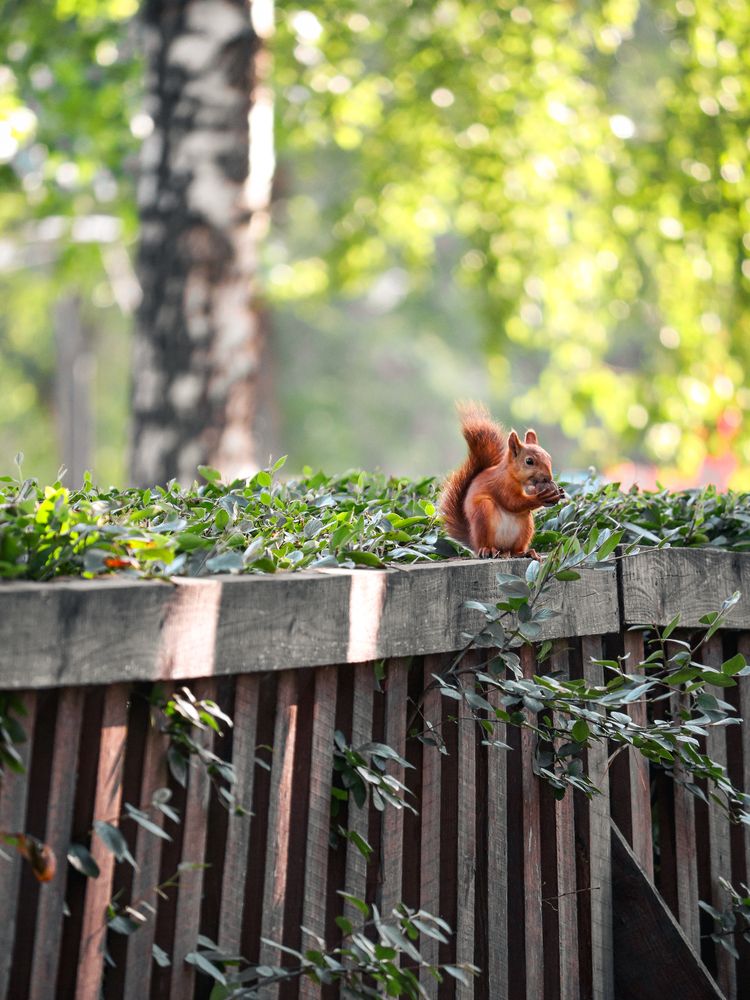 Фотография автора Илья Малеев