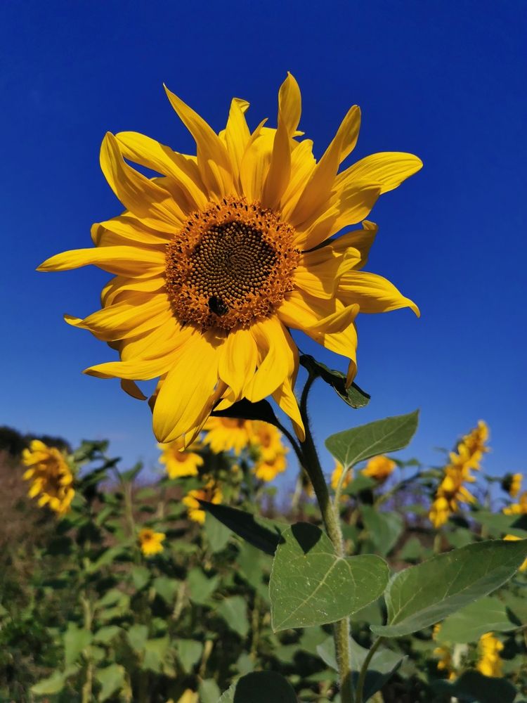 Photograph by Лия Маликова