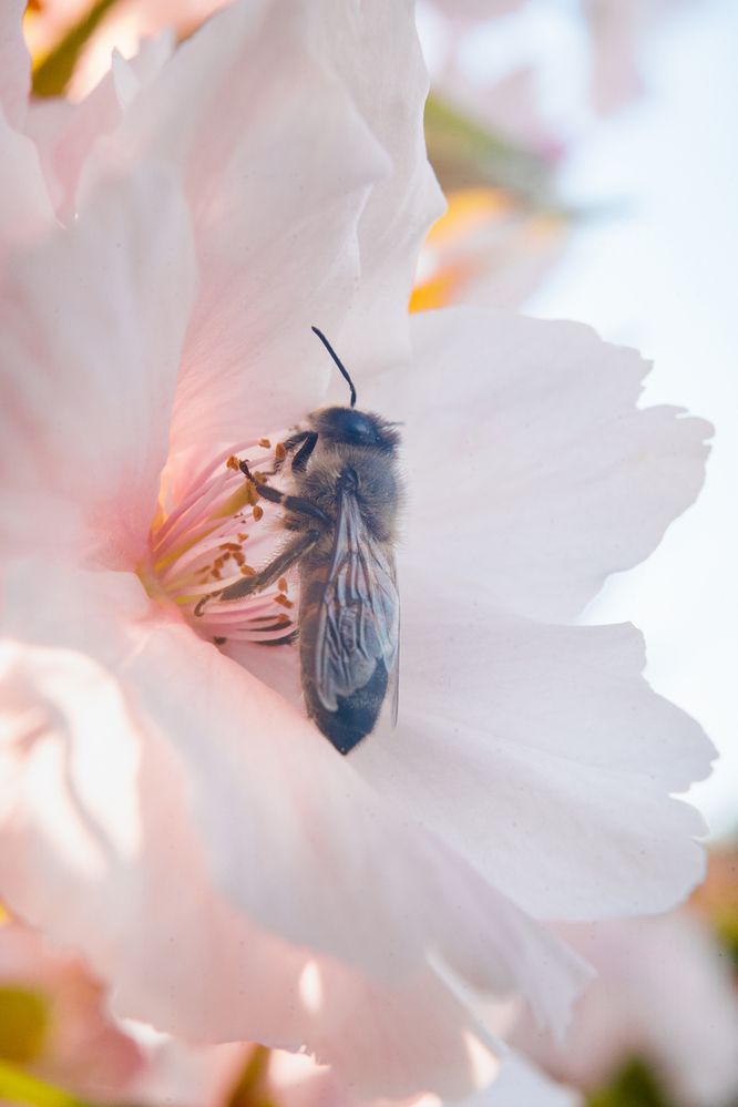 Photograph by Артём Гуцалюк