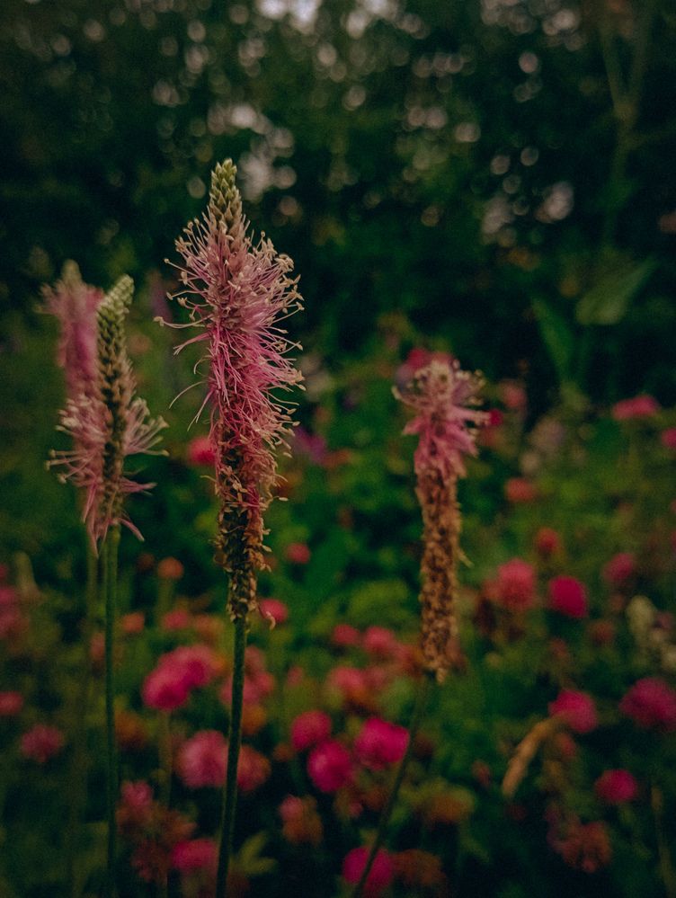 Photograph by Елена Ерасова