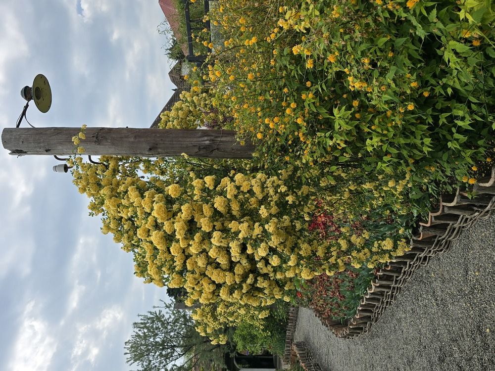 Photograph by Yulia Rotbach