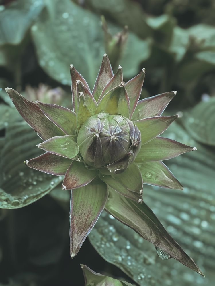 Photograph by Елена Чулюнина