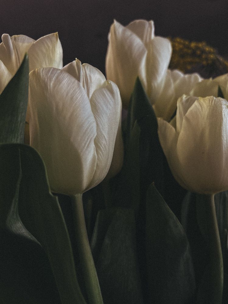 Photograph by Анна