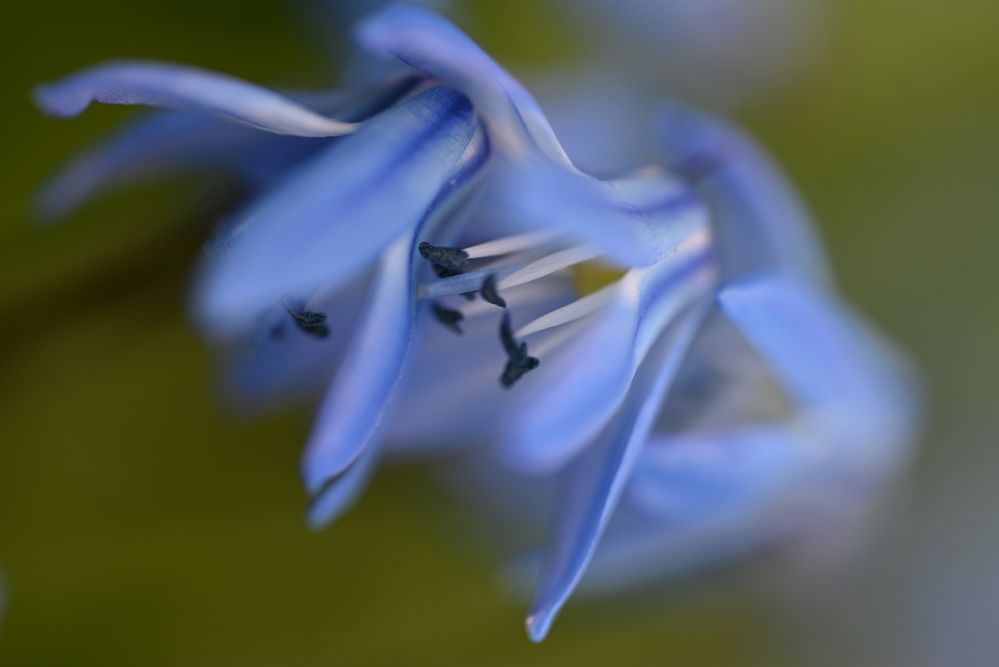 Photograph by Elvira Ner