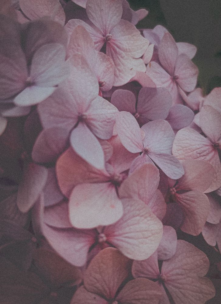 Фотография автора Ирина Романовская