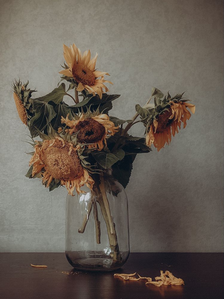 Фотография автора Ирина Романовская