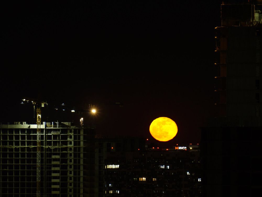 Photograph by Дмитрий Лобанов