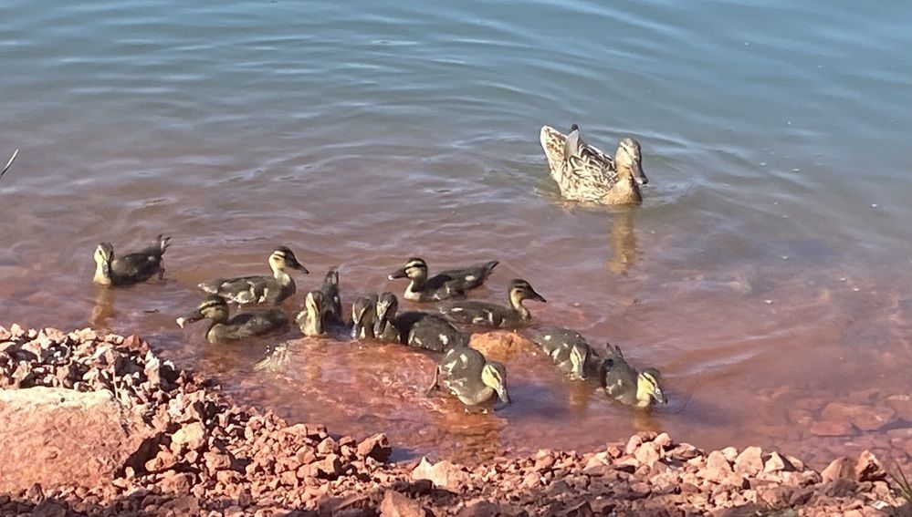 Photograph by Василина Щеглова