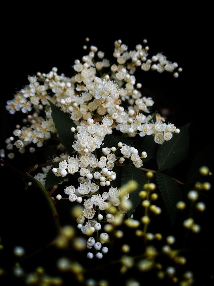 Photograph by Картунова Светлана