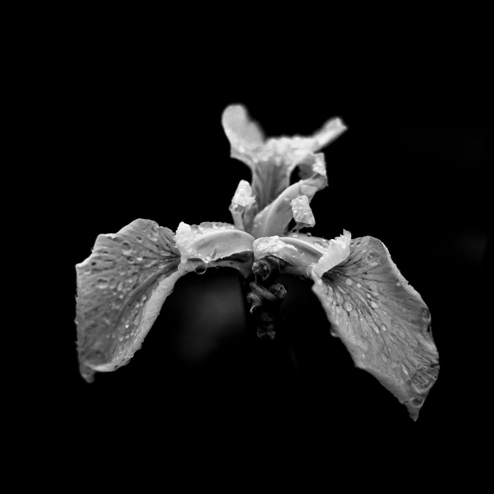 Photograph by Сергей Демидов