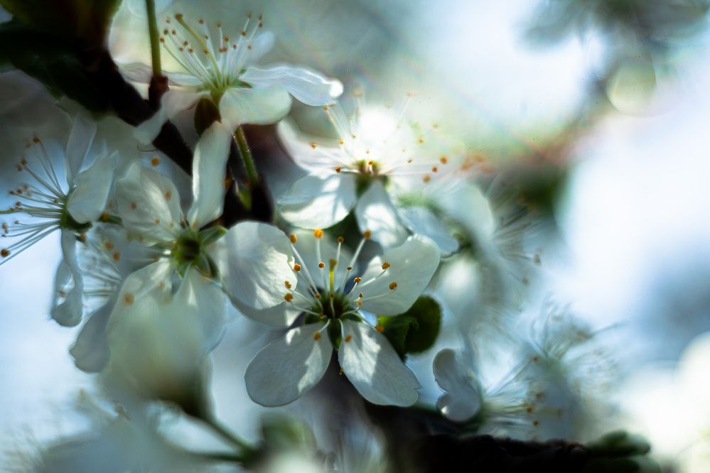 Photograph by Сергей Демидов