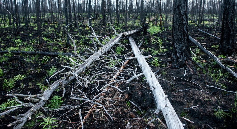 Photograph by Смирнов Валерий