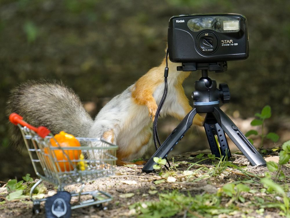 Photograph by Дмитрий Лобанов