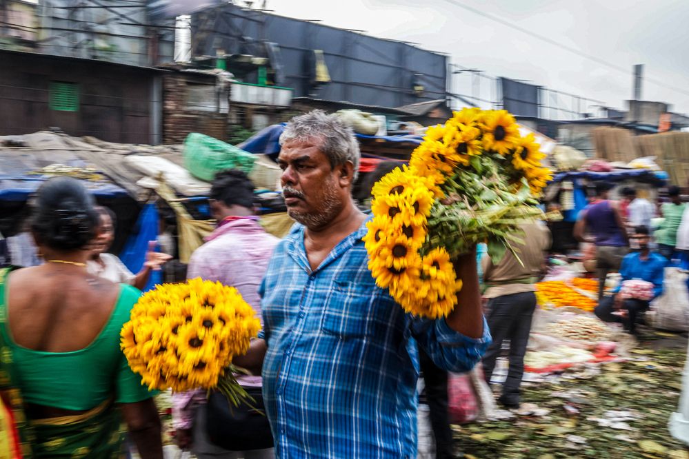 Фотография автора Debapriya Dasgupta
