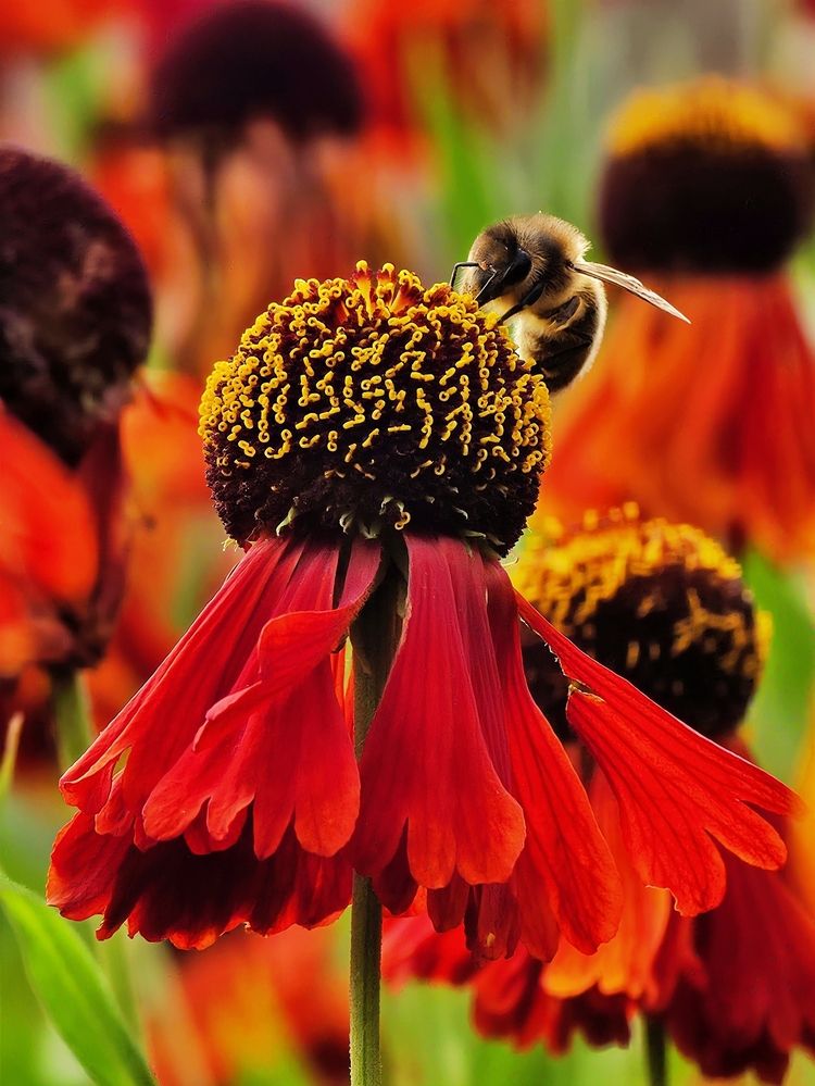 Photograph by Chinmaya Patil