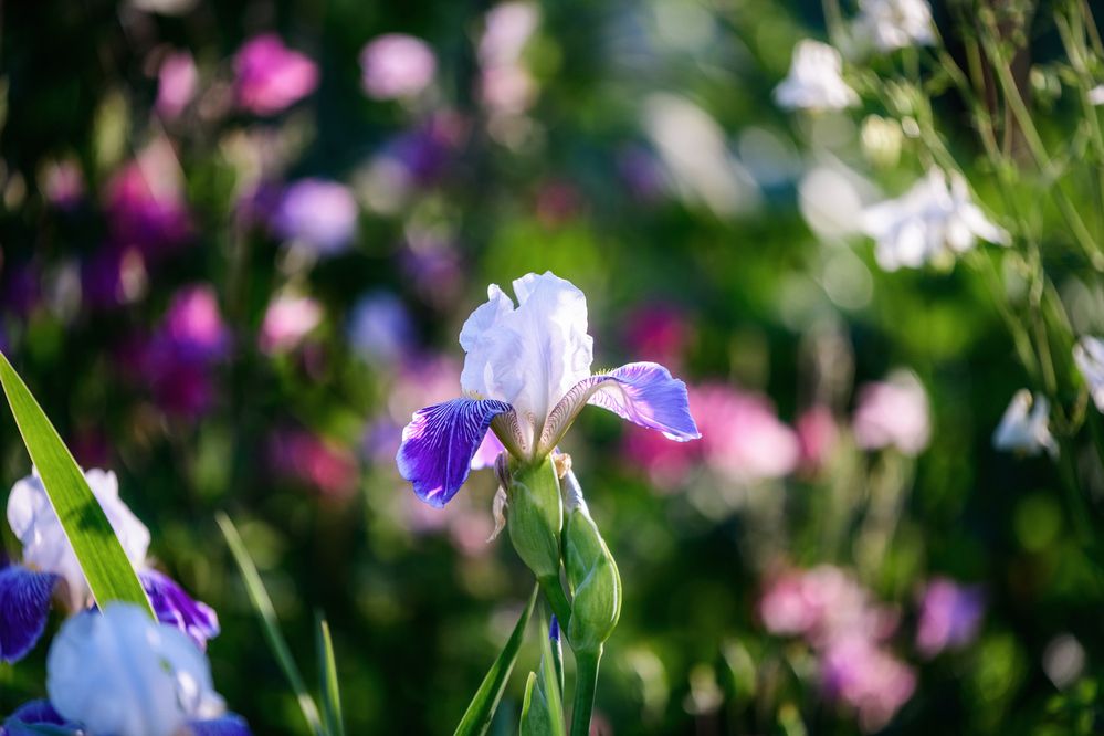 Photograph by Евгений Жуланов