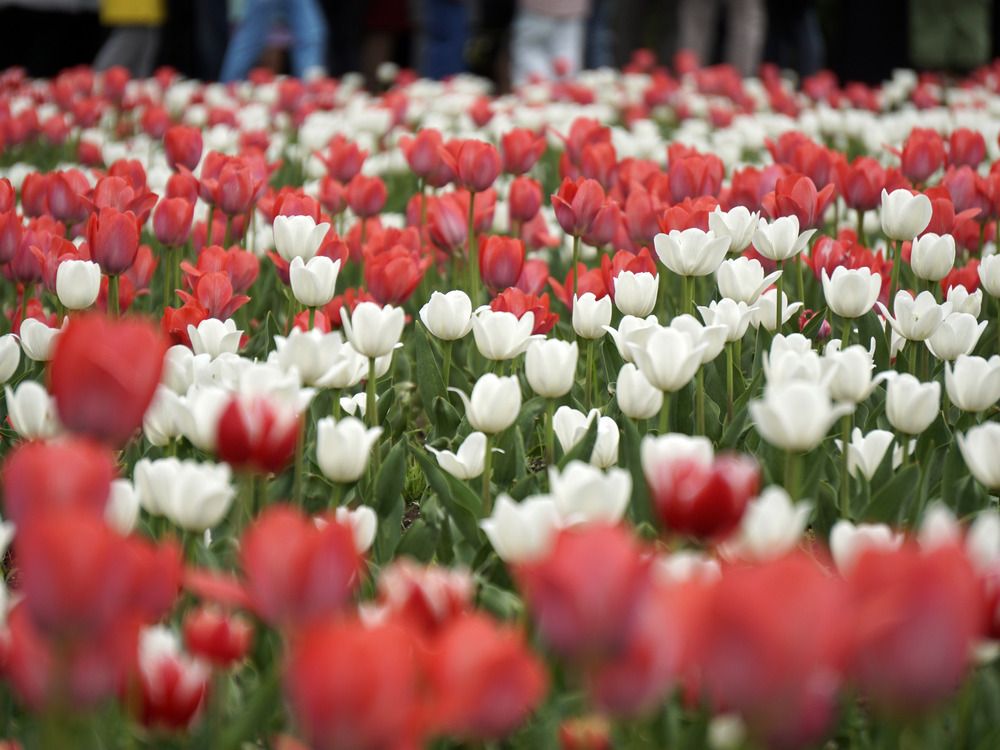 Photograph by Дмитрий Лобанов