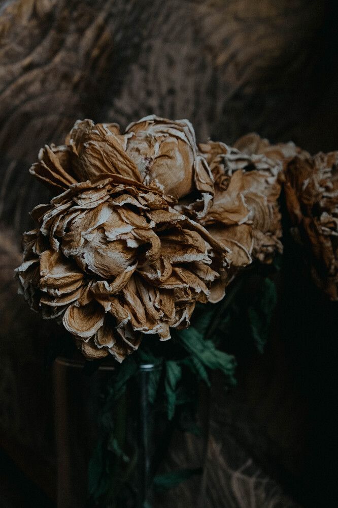 Photograph by Tatiana Potapenko