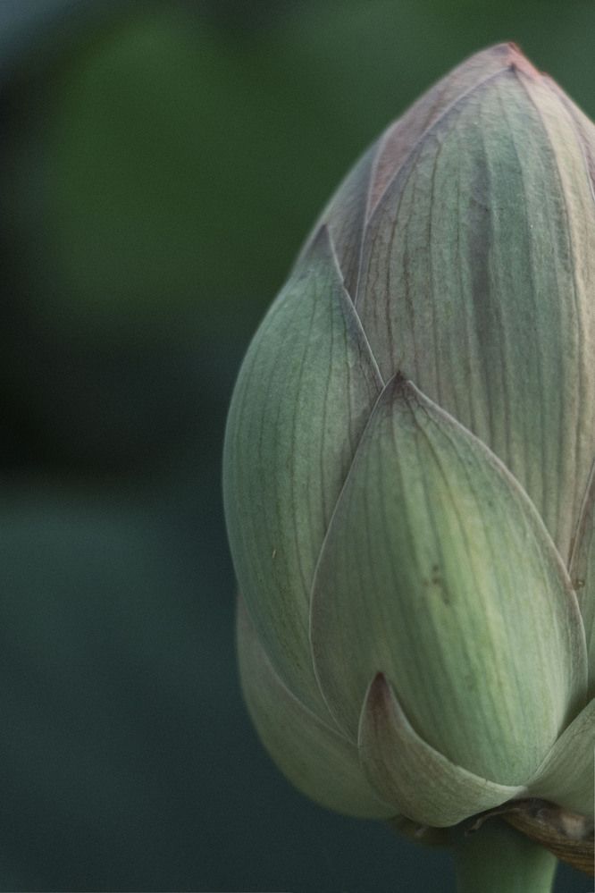 Photograph by Татьяна Литвинова