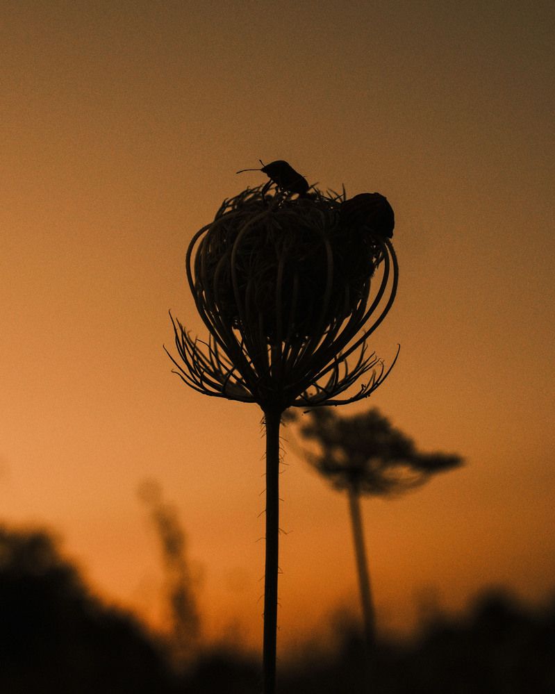 Photograph by Татьяна Литвинова