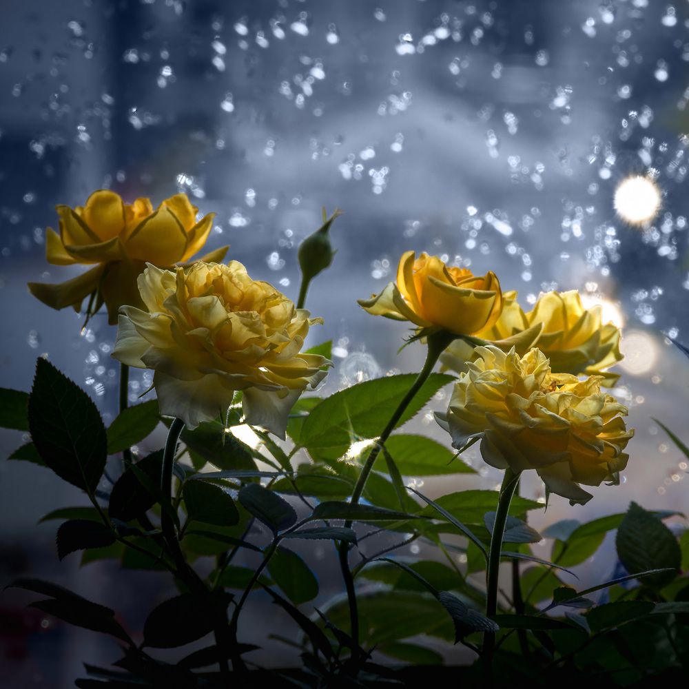 Photograph by Алексей Козлов