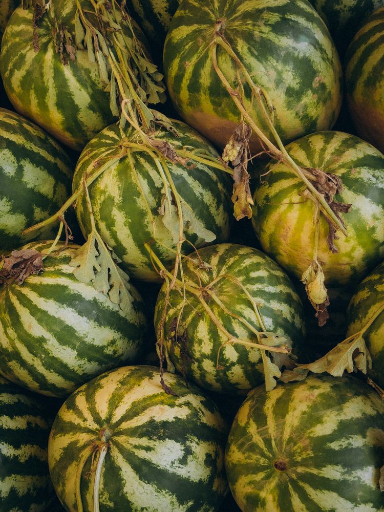 Photograph by Елена Михалева