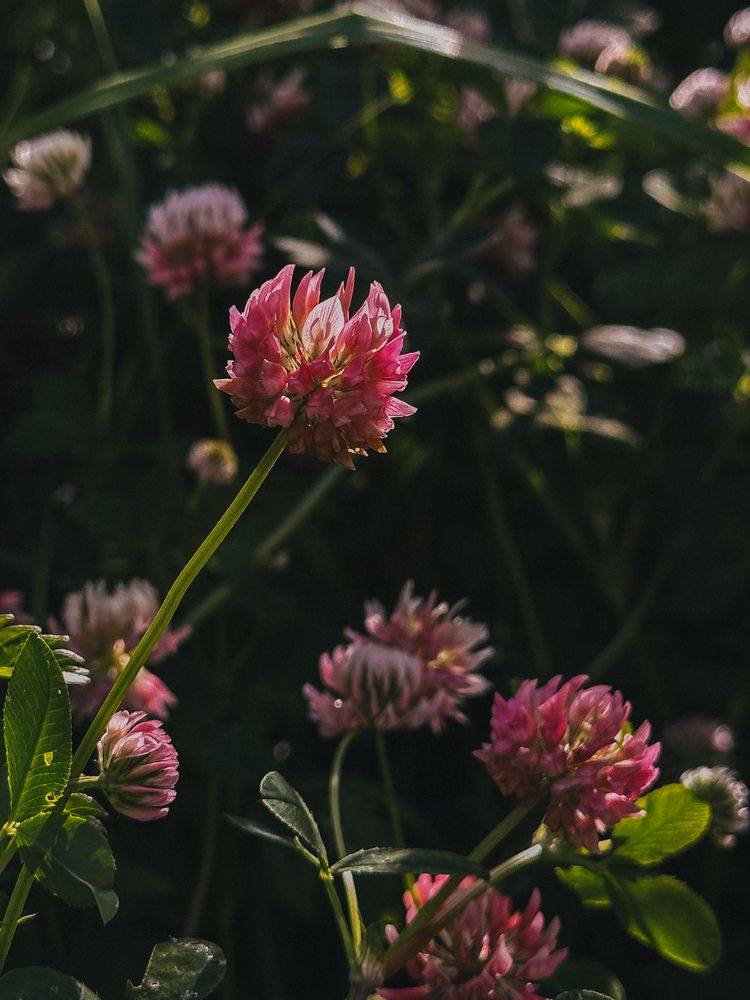 Photograph by Анна Титова