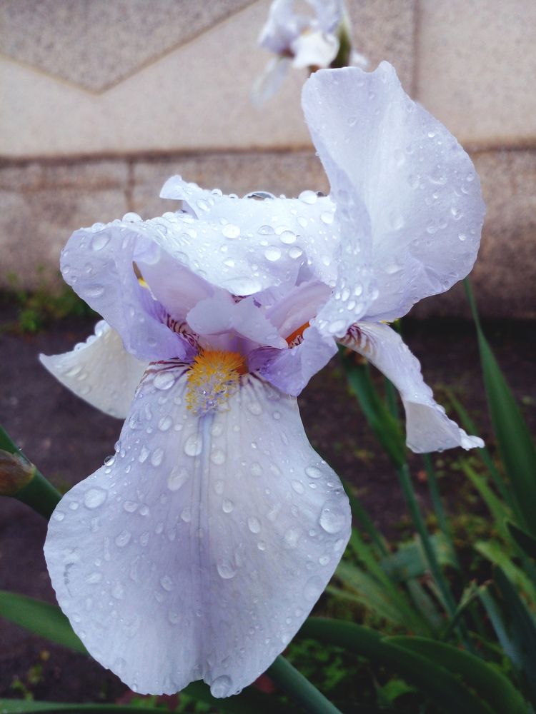 Photo #12477744