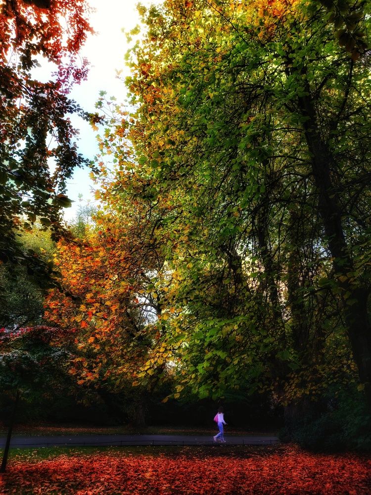 Photograph by Chinmaya Patil