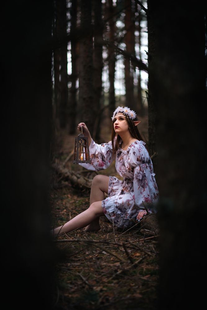 Photograph by Максим Торохов