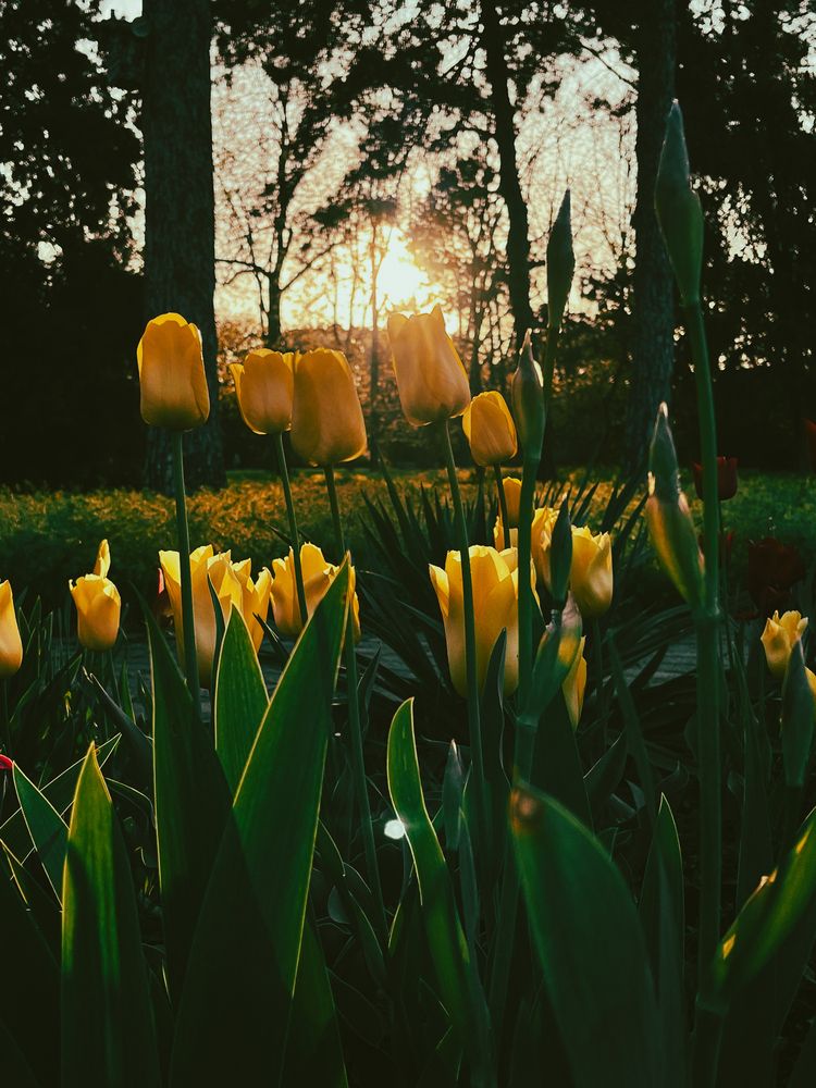Теплый майский вечер