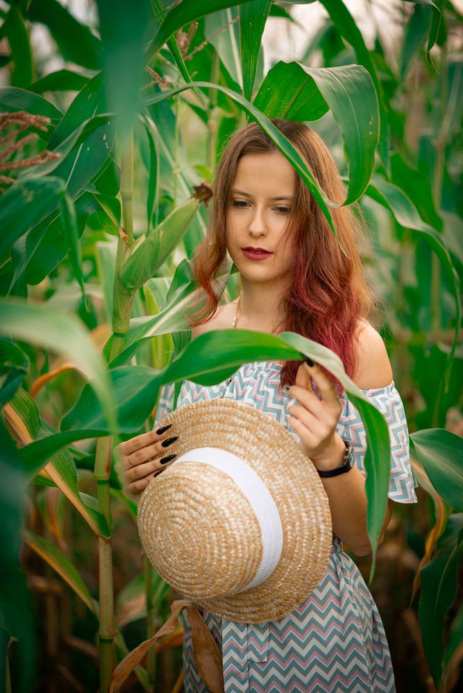Photograph by Максим Торохов