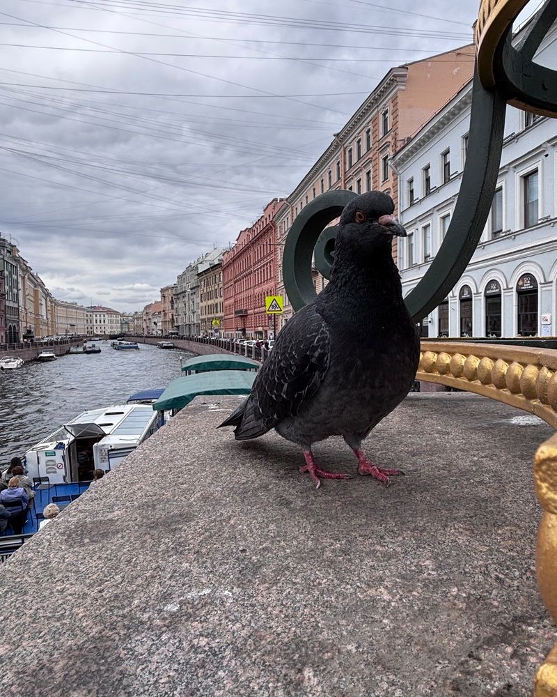 Photograph by Halina Mitsevich