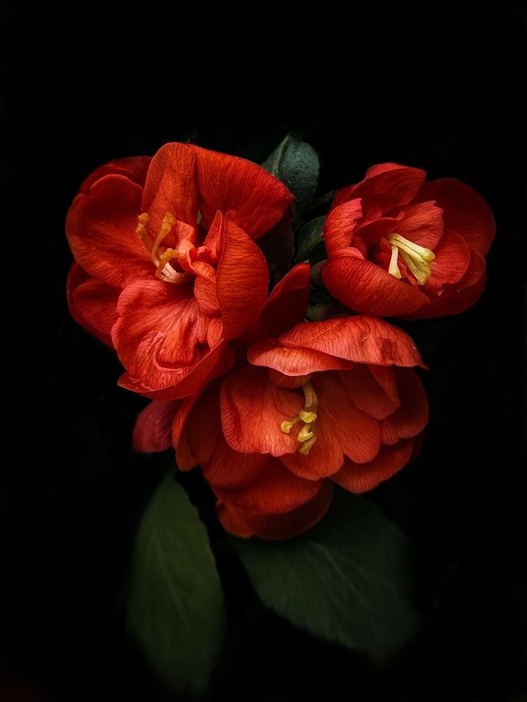 Photograph by Оксана Елисеева