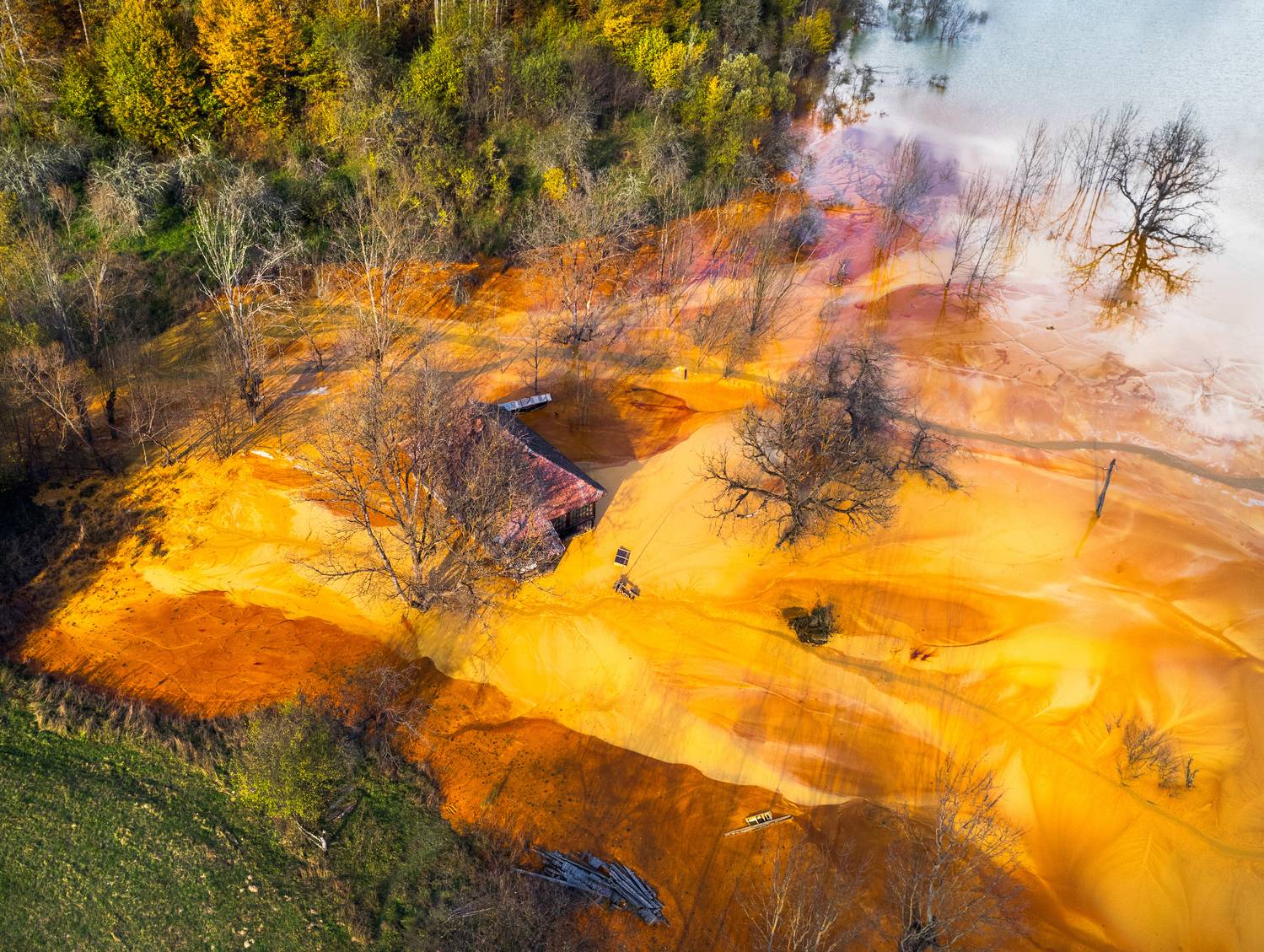 Village submerged in wasteland