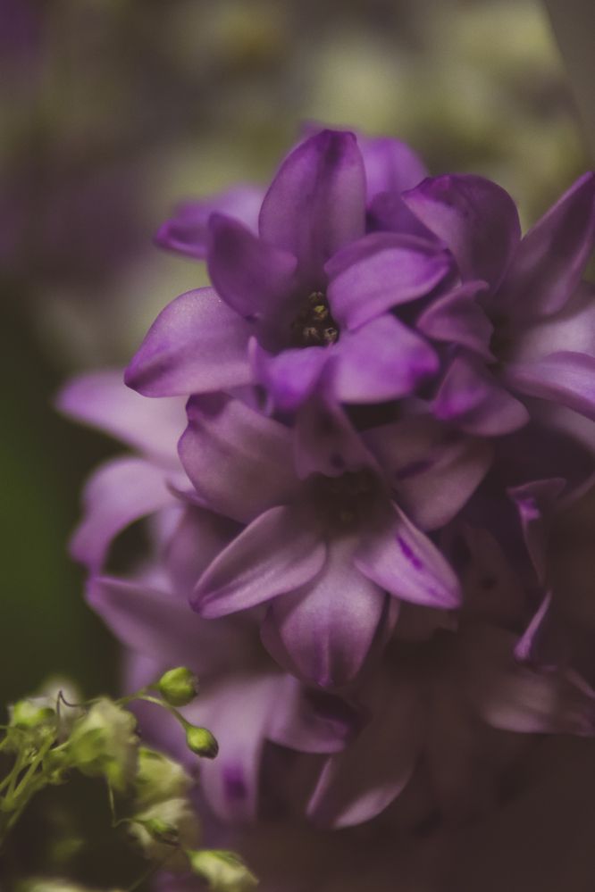 Photograph by Евгения Сенченко