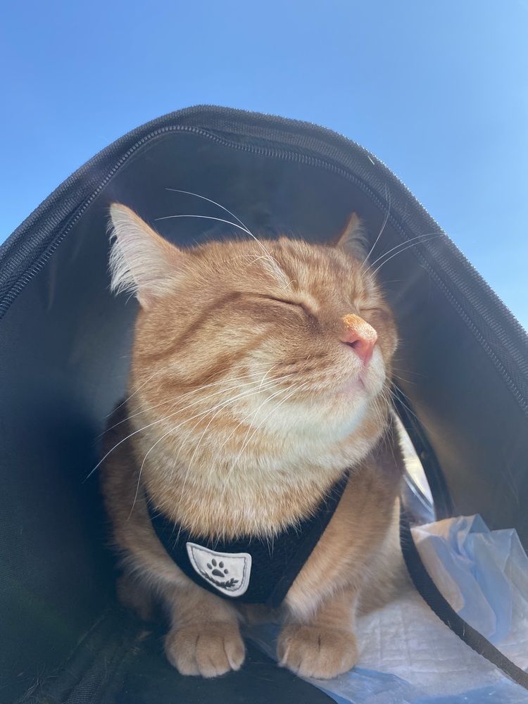 Photograph by Олеся Чистова