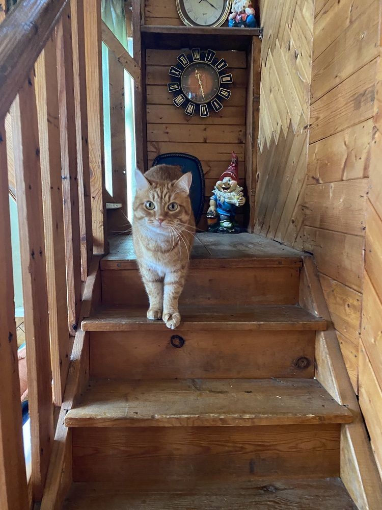 Photograph by Олеся Чистова